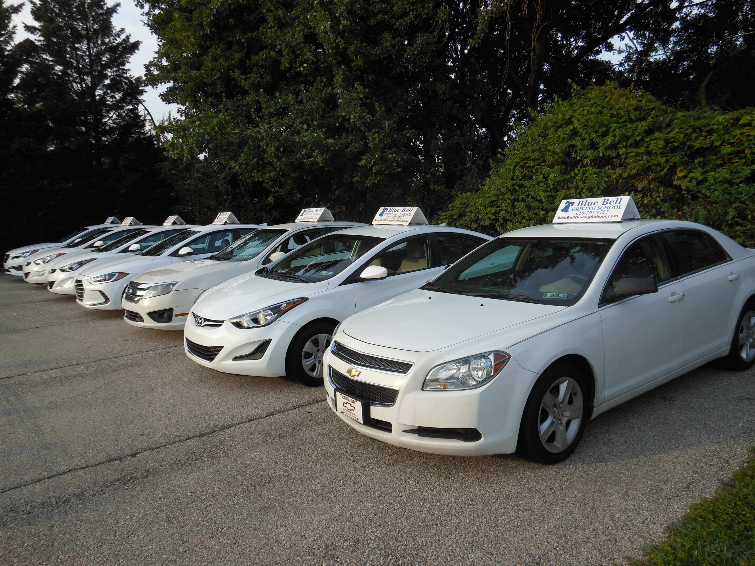 Road Tests  Blue-Line Driving School