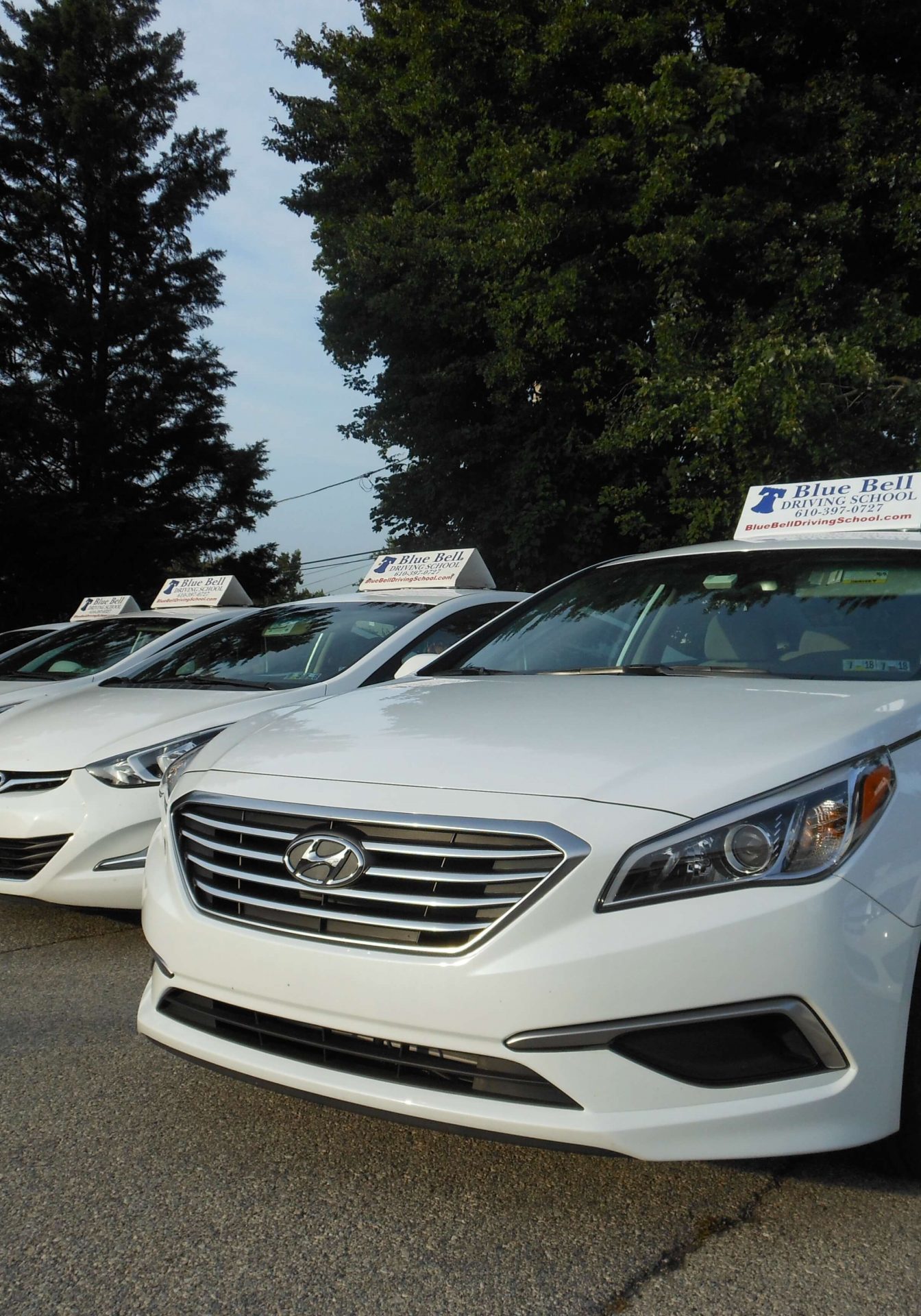 Image of Blue Bell Driving School lesson cars